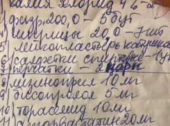 Камышане выложили в соцсетях перечень того,  что их заставляют покупать за свой счет в больнице