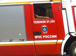В селе Костарево Камышинского района жителей перепугало заполыхавшее подворье