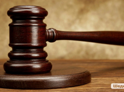 В Николаевске, напротив Камышина через Волгу, суд «вывел из подполья» работника ООО «Вайлдберриз»