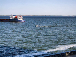 Волгоград и Саратов свяжут речные скоростные суда, Камышин без причала - не «игрок» проекта?