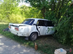 Смертельное пике: водитель погиб на месте, врезавшись на «семерке» в дерево