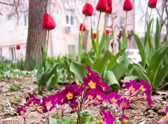 Камышин попадает под власть дождей, пока несильных