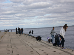 В Камышине волонтеры убирают набережную Волги в рамках акции «Вода России»