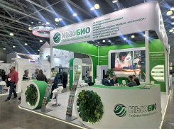 Конфеты, соленья, переработанная кукуруза «поехали» из Волгоградской области в Москву