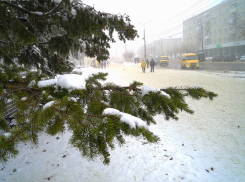 Сразу двух угроз от погоды велено остерегаться камышанам
