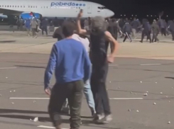 Аэропорт разграблен, десятки раненых, среди штурмовавших найдены уклонисты от призыва: чем закончился погром в Махачкале, - «Блокнот - Россия»