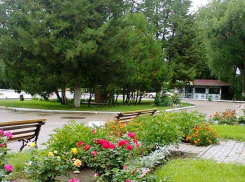 Утро 1 августа в Камышине: горожане надели куртки