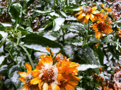 Мощная снежно-дождевая туча подбирается к Камышину