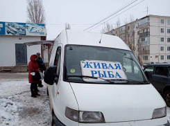 В Камышине, как и в России, малый и средний бизнес не будут проверять еще год