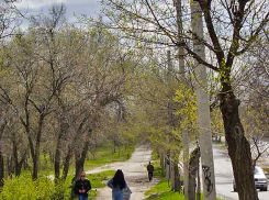 В Камышине по состоянию на 27 апреля новых коронавирусных больных, к счастью, нет