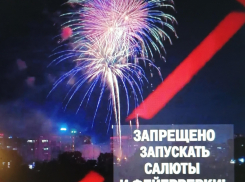 В выполнении требований запрета фейерверков глава Камышина Станислав Зинченко надеется не на штрафы, а на понимание