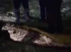 СУ СК о теле, завернутом в ковер: несчастного убил отверткой однокурсник, убийца жил с трупом в одной квартире пять дней