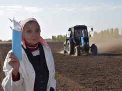 Какую «чудо-сеялку» задействовали аграрии Камышинского района во время осенних полевых работ