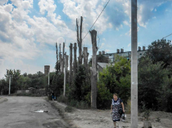 Как мошенническая контора, прикинувшаяся домофонной службой, обобрала камышинскую пенсионерку на  350 тысяч