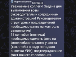 Кому в администрации Камышинского района срочно приказали завтра фотографироваться у избирательных участков и слать фотоотчеты «наверх»