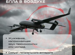 За неделю до Арбузного фестиваля администрация Камышина учит горожан, что делать при виде беспилотника