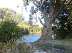 Отдыхающие продолжают издеваться над самой красивой речкой Камышинского района - Иловлей, - камышанин