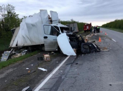 Жуткая смертельная авария на трассе: грузовые махины столкнулись в лобовую
