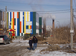 Слушайте, ну Камышин - это же город, ну зачем в нем камышовые джунгли? - камышанин