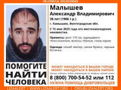 «Лиза Алерт» ищет пропавшего камышанина: за май в Волгоградской области исчезли 52 человека