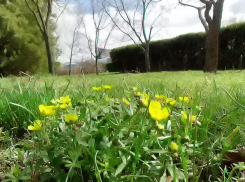 Самая жаркая за 30 лет весна начнется со снежной недели в Камышине