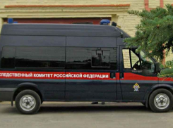 Глава СК взял на контроль уголовное дело о педофилии в Волгоградской области