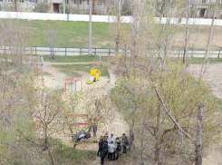 «Мальчик в серой футболке выдрал доску из скамейки и пошел бить по детской горке, заливаясь «счастливым смехом», - камышанка