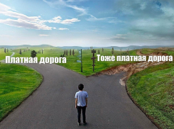 К 2030 году все дороги в России могут стать платными