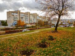 Тепло, но разыграется геомагнитный мегашторм: погода в Камышине 6 и 7 ноября