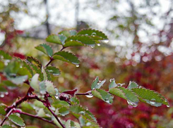 На Камышин за сутки выльется месячная норма осадков