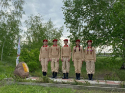 Дерево Победы растёт в селе Воднобуерачном Камышинского района