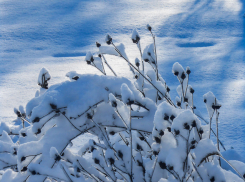 20 градусов мороза и снег: погода в Камышине на начало недели