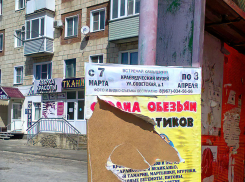 В Камышине ураганов обтрепало афиши, и теперь эти лохмотья так и будут «болтаться» по центральным улицам? - камышанка
