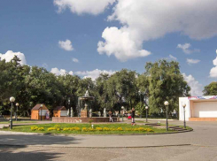 В Камышине заморозки отменяются