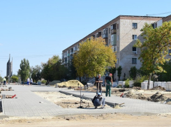 Презентацию Аллеи любви в Камышине экстренно отложили до 1 декабря