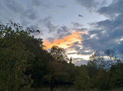 Появились некоторые подробности о 85-й смертельной жертве COVID в Волгоградской области - болезнь расправилась с пациентом молниеносно