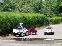 Администрация Камышина пытается устроить судьбу малыша при участии неравнодушных горожан