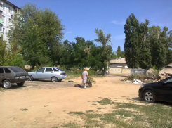 Пока администрация Камышина и «мусорный» оператор схлестнулись в битве за вывоз веток, кучи-то в городе растут! - камышанка