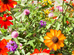 Еще немного «лета» выпадает камышанам: погодная повестка на выходные