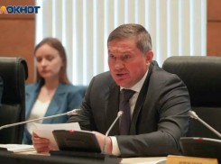 Политологи считают массовый прилет беспилотников психологической атакой накануне планируемого визита Дмитрия Медведева в Волгоград