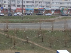 В Камышине вместо обещанного синоптиками дождя пошел снег в сопровождении шквала (ВИДЕО)