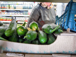 Огурцы и капуста сместили «золотые» яйца с «пьедестала» подорожавших продуктов в Волгоградской области