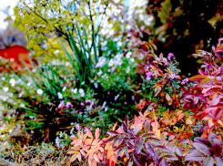 В Камышине синоптики «видят» дождь сегодня, 29 октября