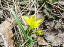 Теплые дни с освежающим ветерком: погода в Камышине в конце марта