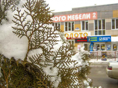 Камышанам велено приготовиться к налипанию мокрого снега и возможной метели