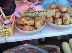 Молодая картошка держится на рынках Камышина на уровне 80 рублей за килограмм