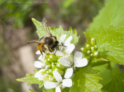 Дождь закончится, и Камышин накроет теплое «облако»: погода на 12 мая