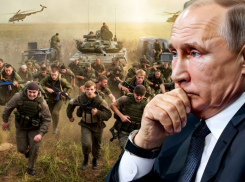 Россиян «прогревают» к остановке СВО без достижения обозначенных Путиным целей: волонтер Алехин предложил объявить нашу победу прямо сейчас, - «Блокнот - Россия»