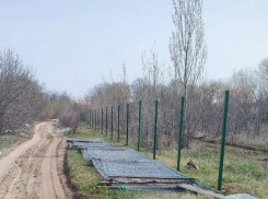 Зачем в лесопитомнике, где мы любим гулять, городят забор? - камышанка