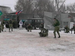 Видео показательных выступлений камышинских десантников в Ряжске под Рязанью набирает просмотры в сети